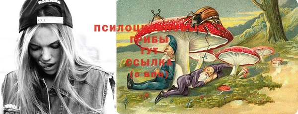 гидра Кинешма