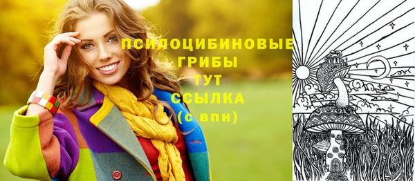 гидра Кинешма