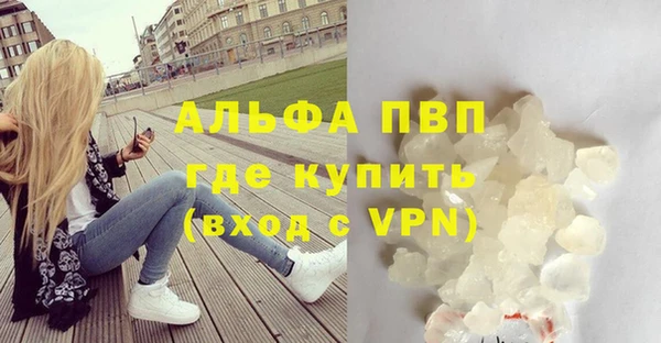 гидра Кинешма