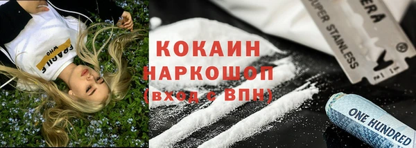 гидра Кинешма