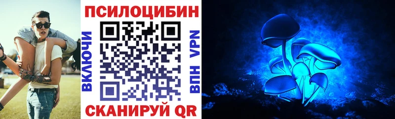 OMG сайт  Орёл  Псилоцибиновые грибы Psilocybine cubensis 